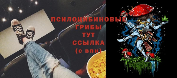 гидропоника Сафоново