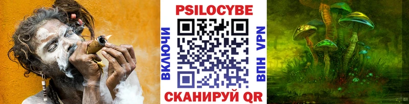 купить наркотик  Зубцов  Псилоцибиновые грибы GOLDEN TEACHER 